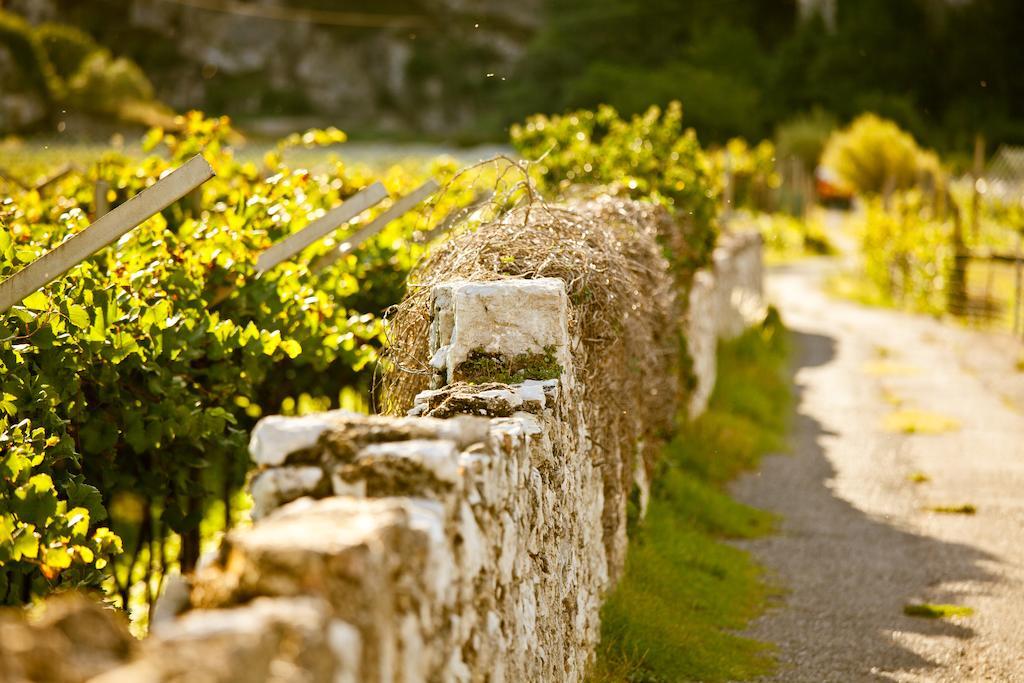Hotel Continental - Tonelli Hotels Torbole Sul Garda Eksteriør billede